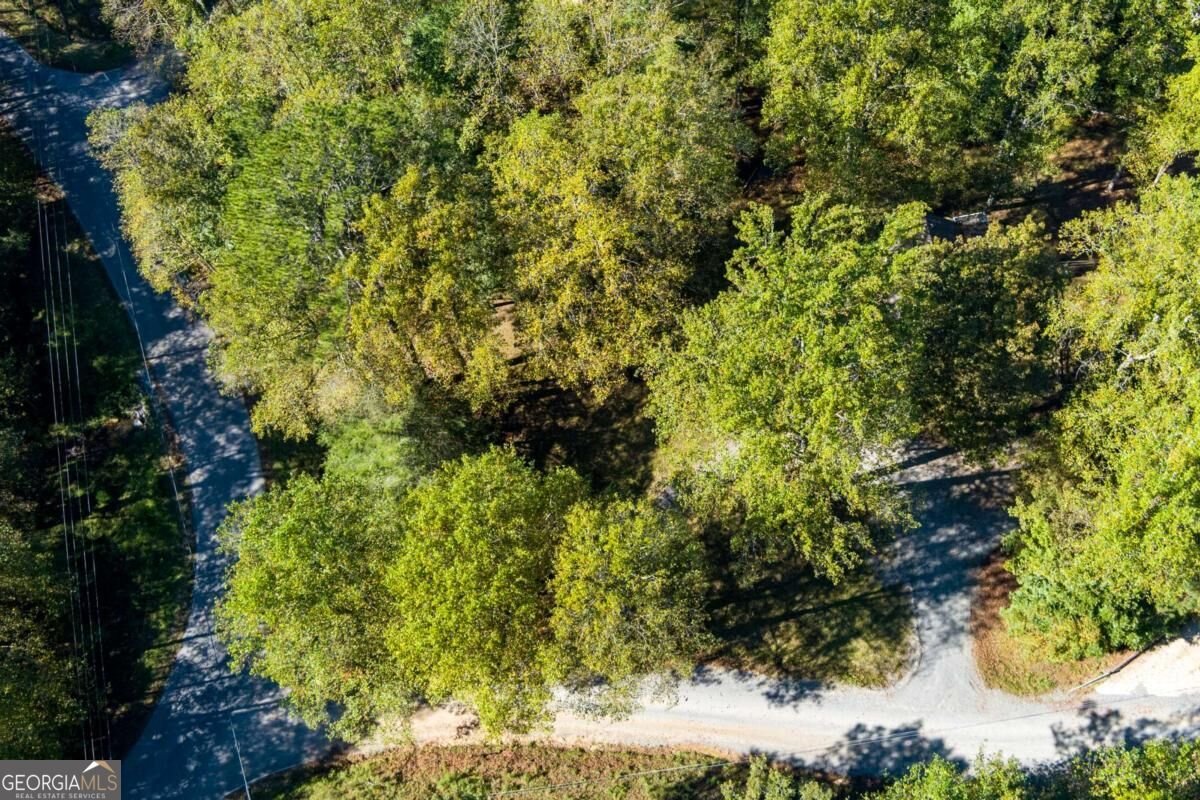 15 Padget Lane Ellijay - Photo 48