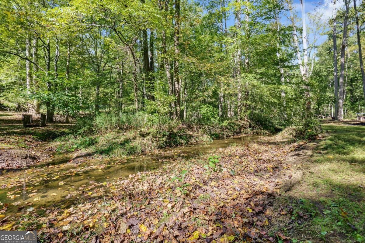 15 Padget Lane Ellijay - Photo 49