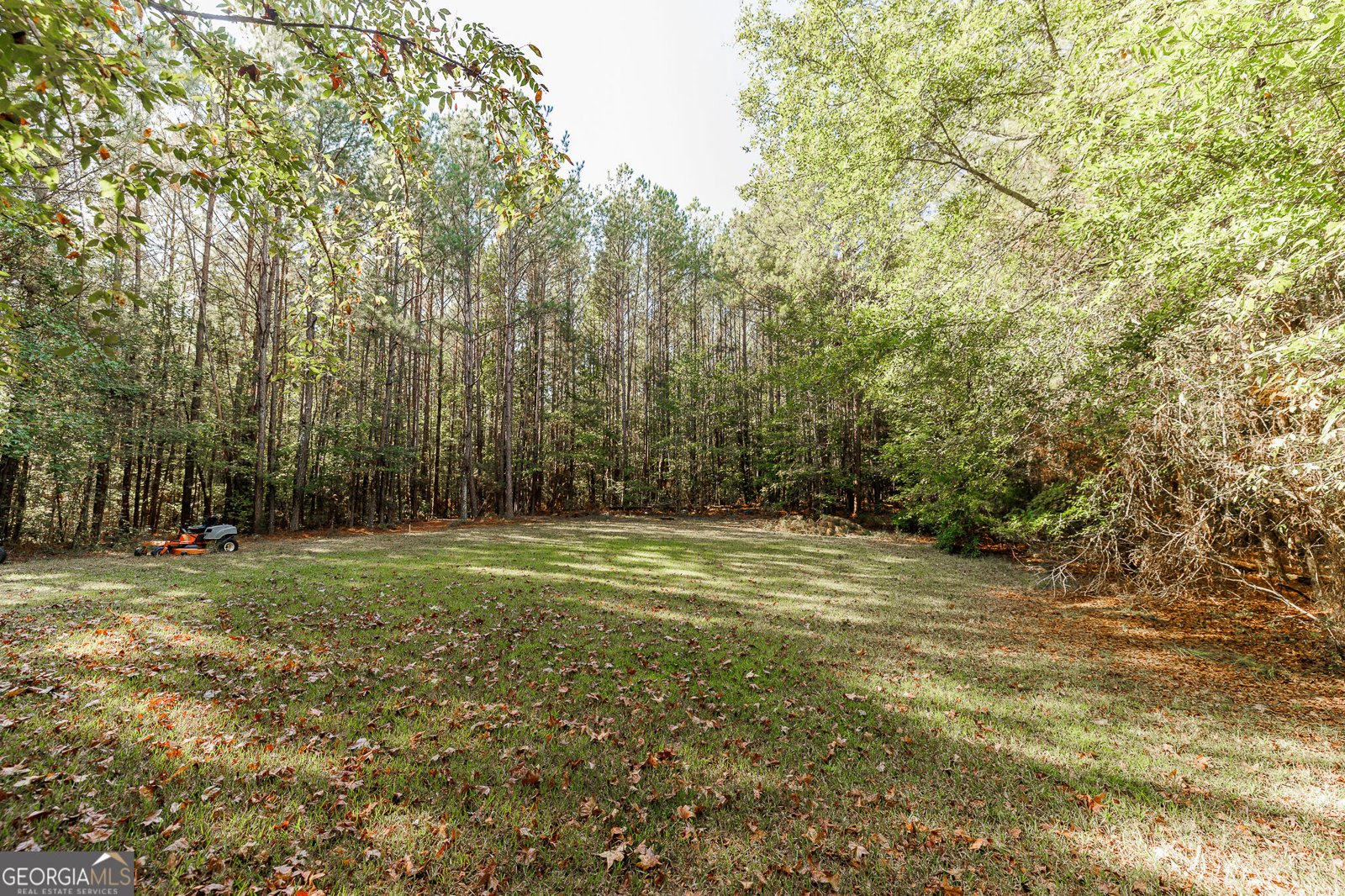 606 Berkeley Road Carlton - Photo 21