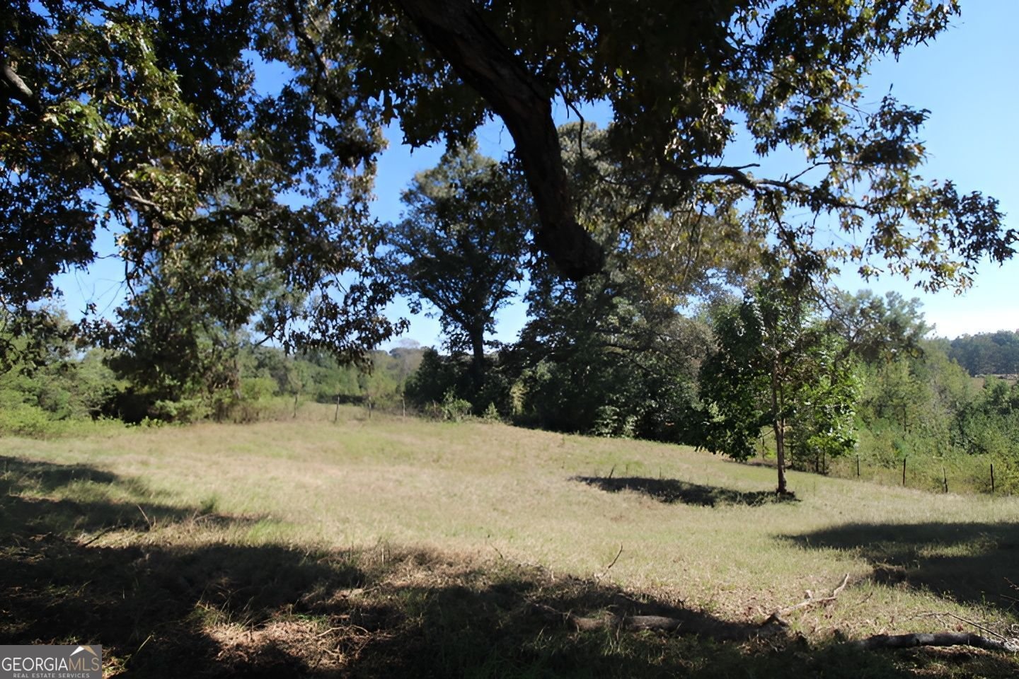 5547 Wilbur Keith Road Greenville - Photo 38
