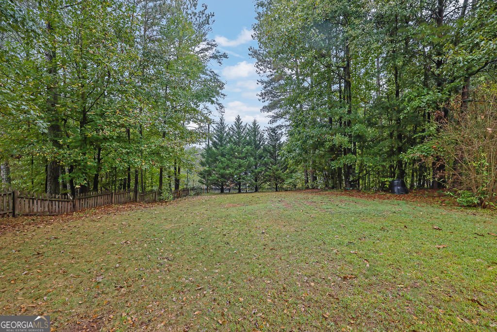 1243 Palm Ridge Trace Canton - Photo 31
