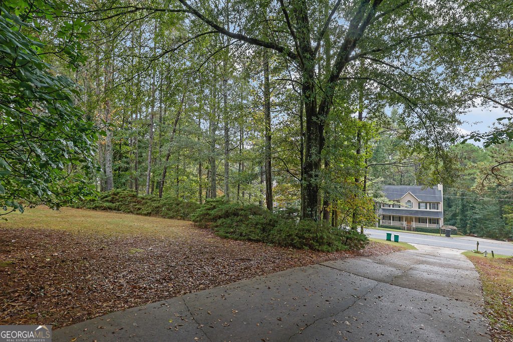 1243 Palm Ridge Trace Canton - Photo 35