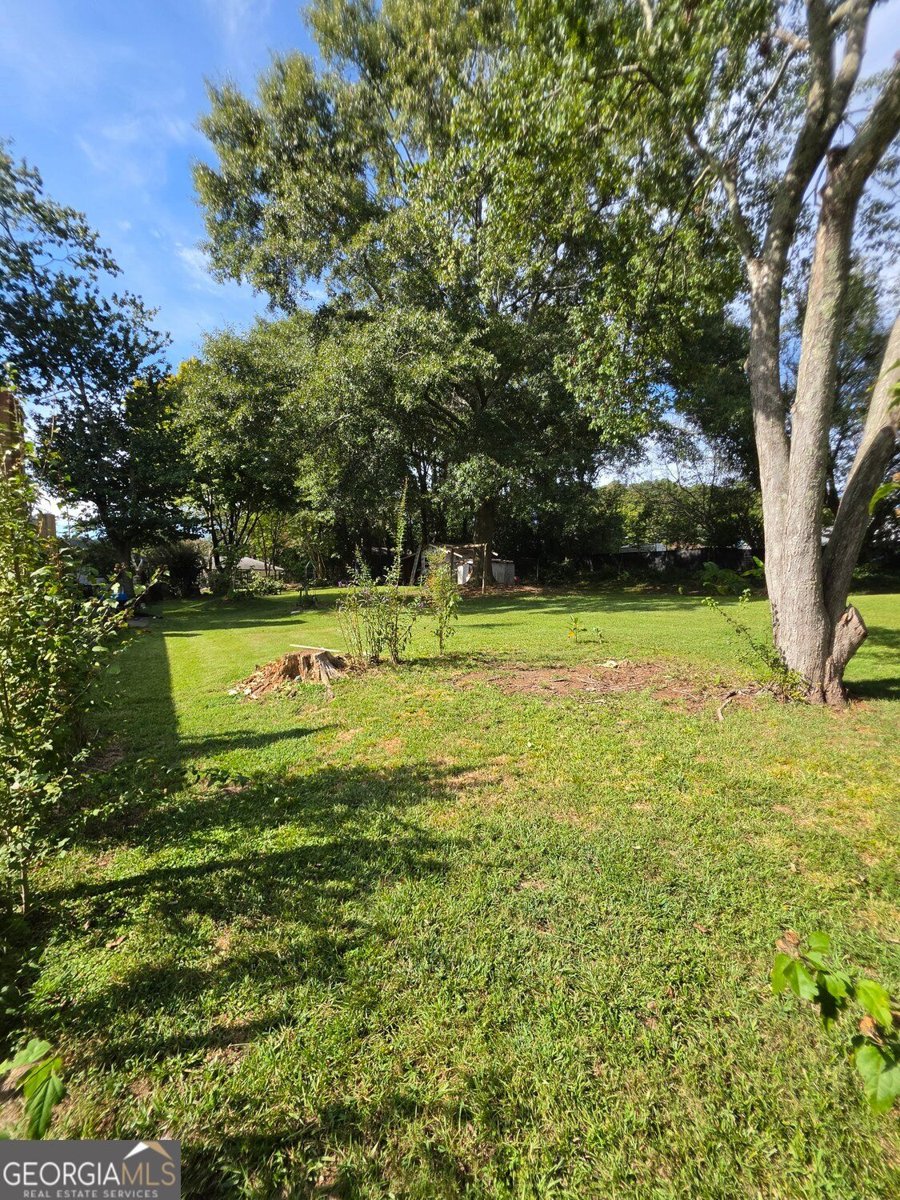 2748 Odum Street Snellville - Photo 14