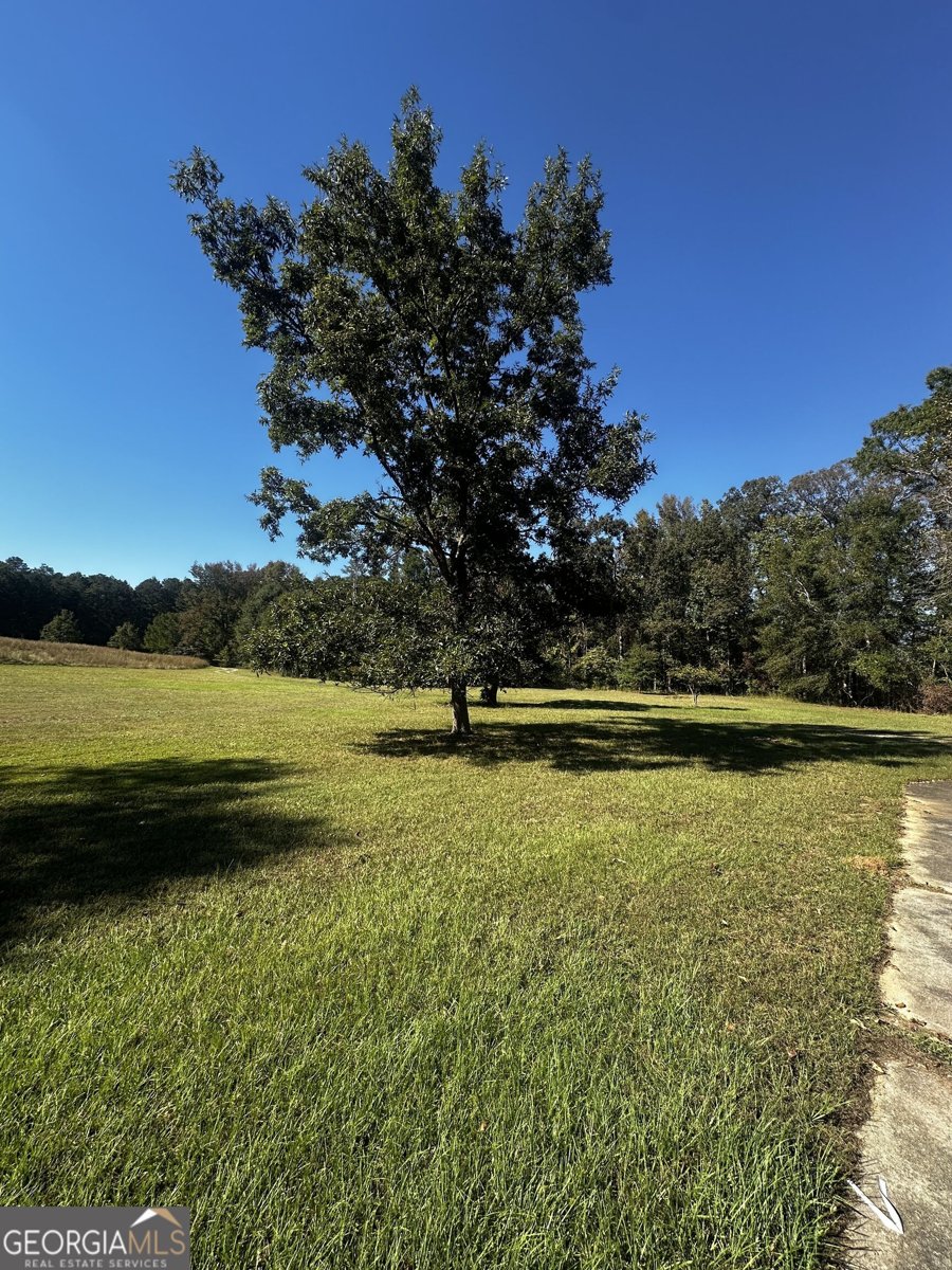 345 Brimer Road Newnan - Photo 10