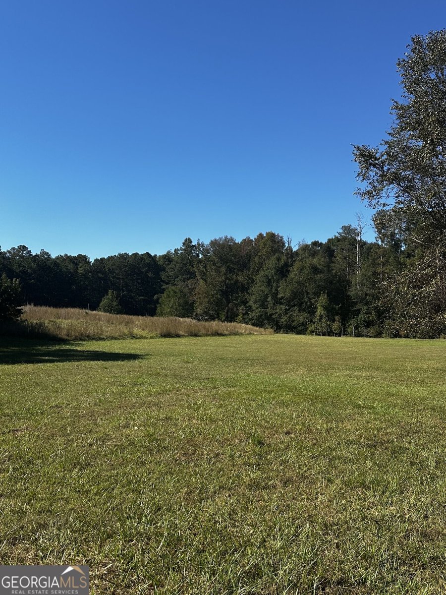 345 Brimer Road Newnan - Photo 6