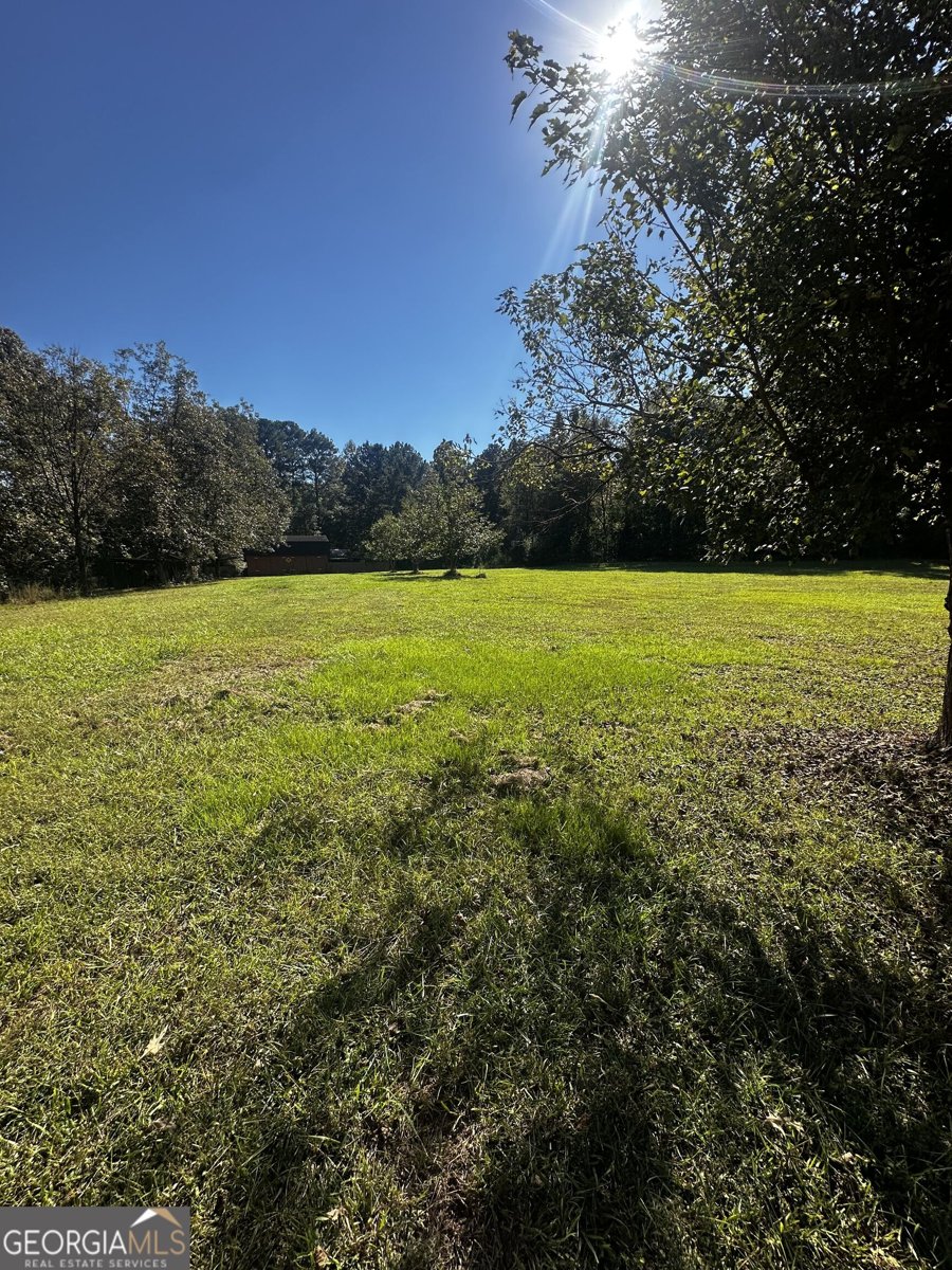 345 Brimer Road Newnan - Photo 9