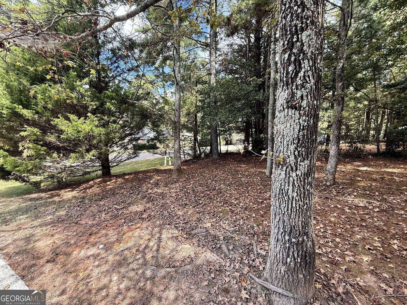 106 Pheasant Run Bogart - Photo 19