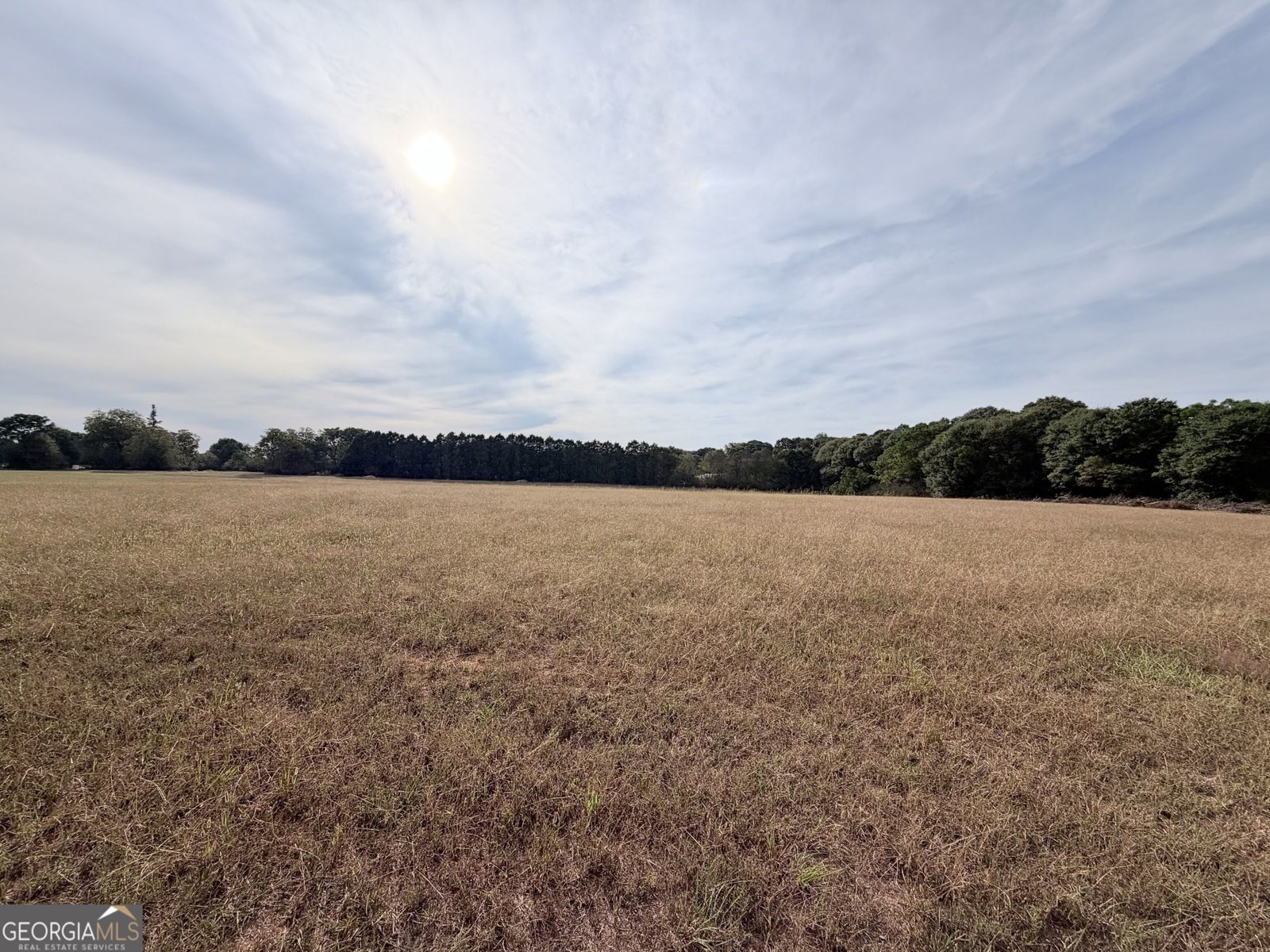1475 Nancy Hart School Hartwell - Photo 54