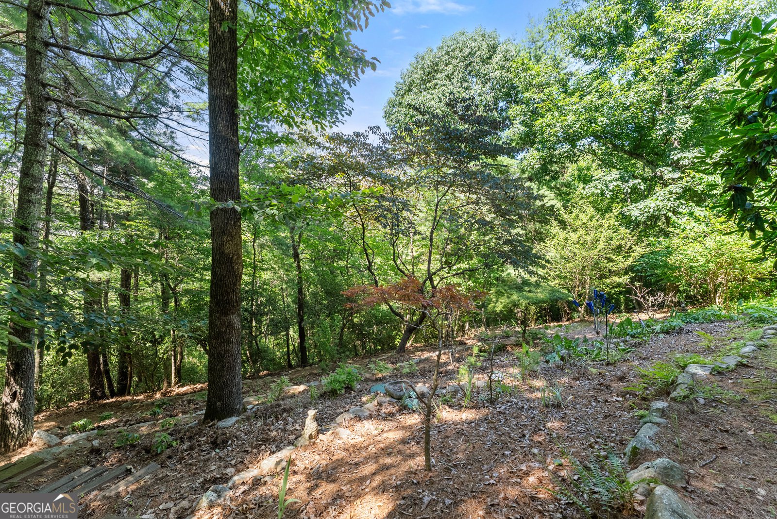 44 Sassafras Ridge Jasper - Photo 55