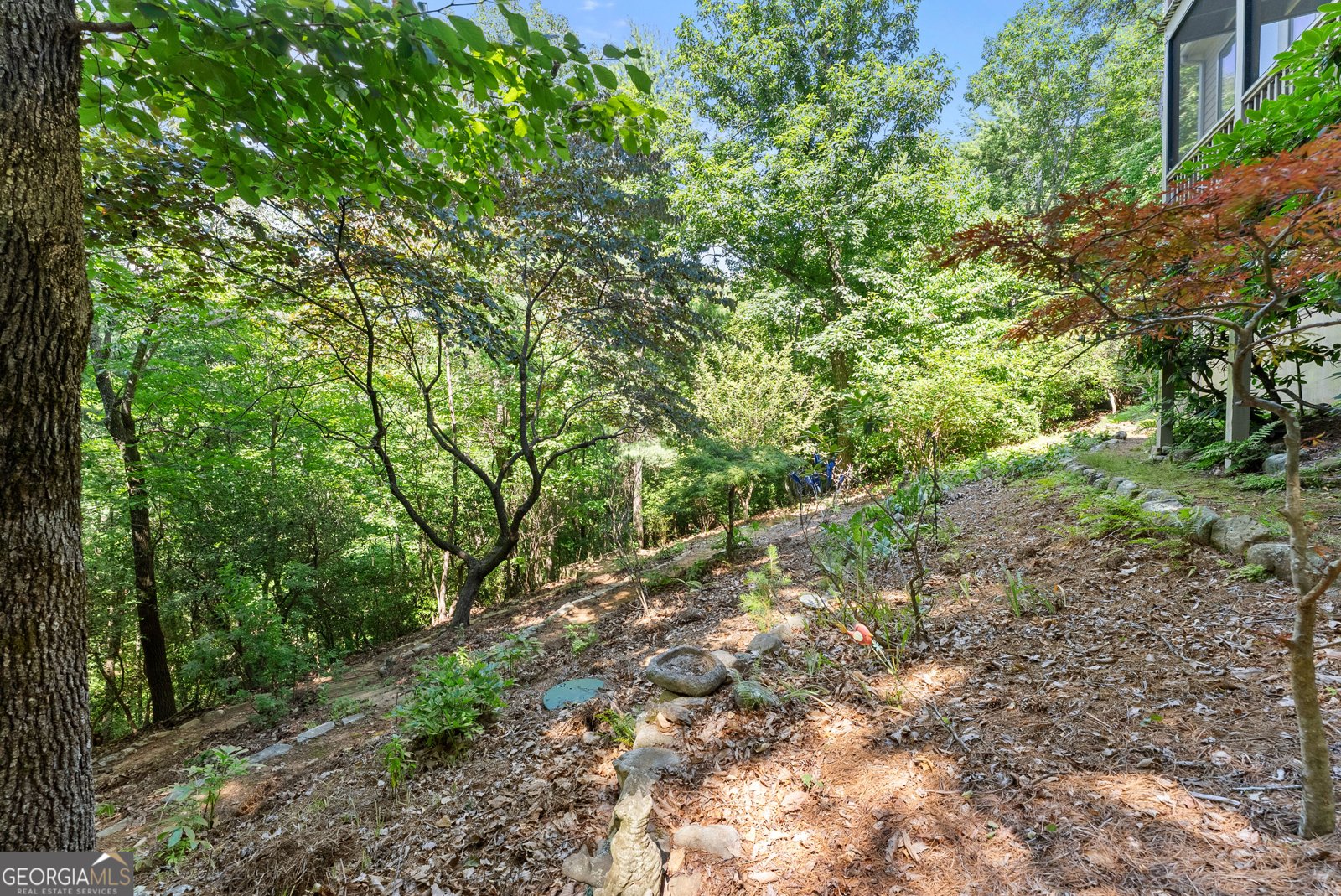 44 Sassafras Ridge Jasper - Photo 56