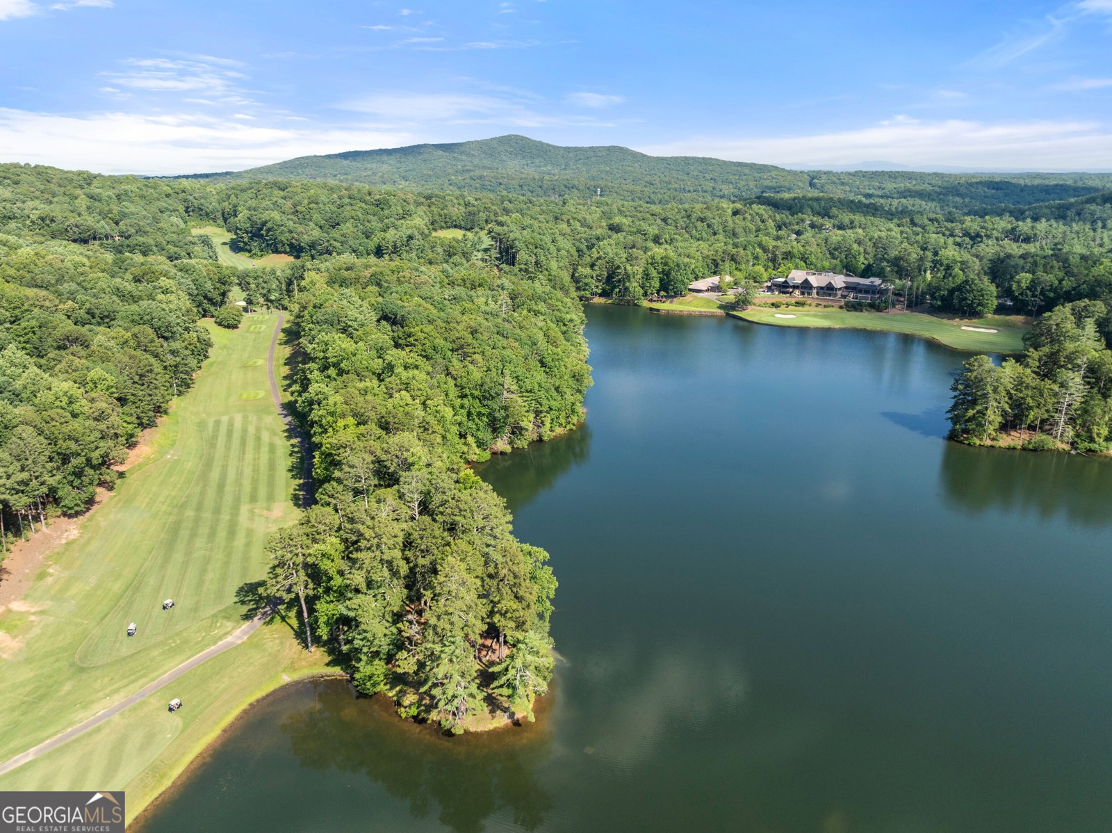 44 Sassafras Ridge Jasper - Photo 73
