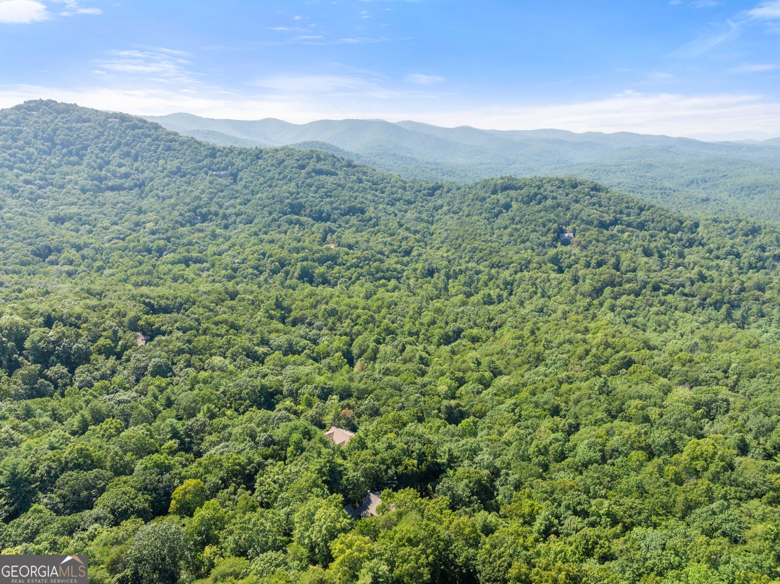 44 Sassafras Ridge Jasper - Photo 76
