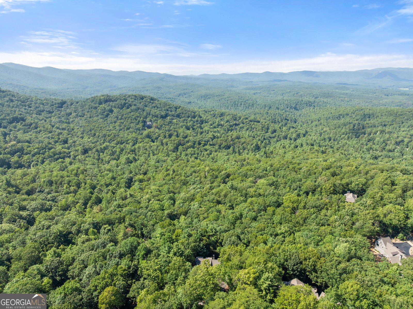 44 Sassafras Ridge Jasper - Photo 77
