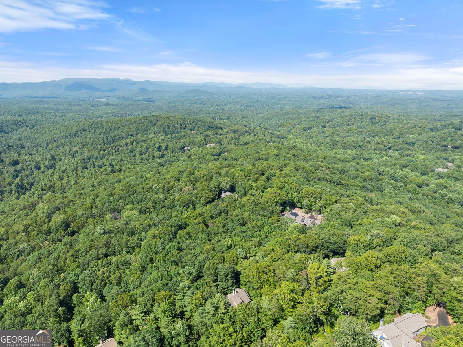44 Sassafras Ridge Jasper - Photo 78