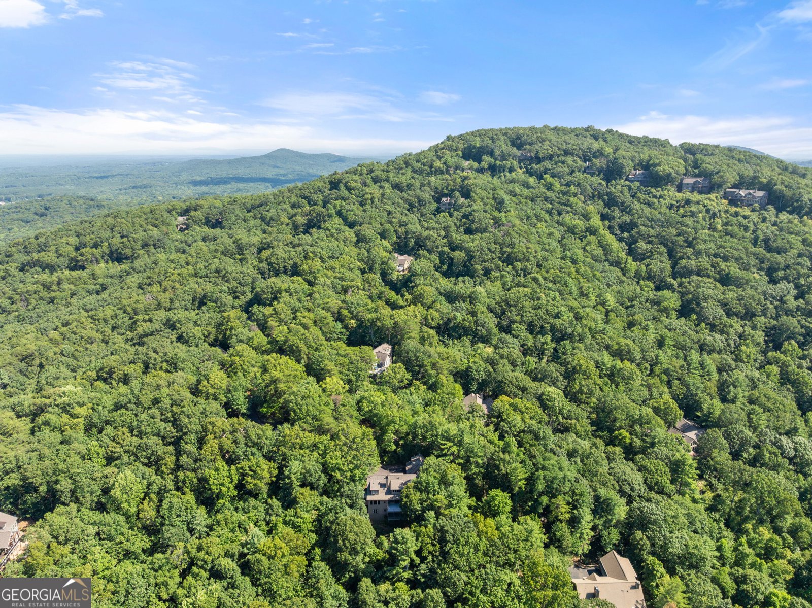 44 Sassafras Ridge Jasper - Photo 80