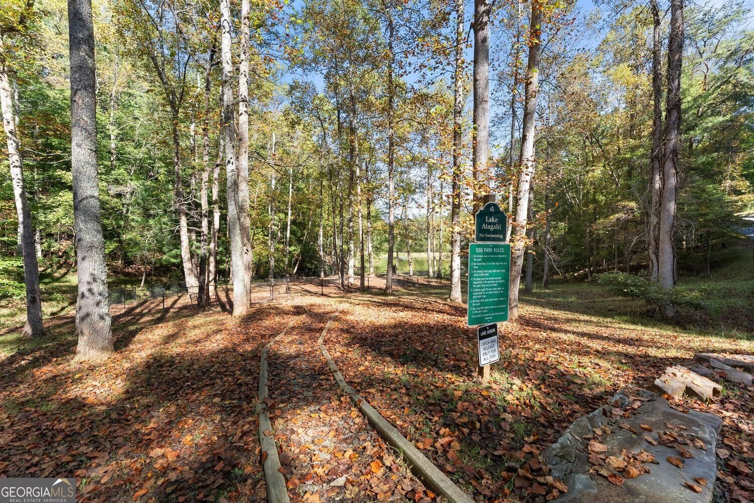 125 Owltown Drive Ellijay - Photo 39