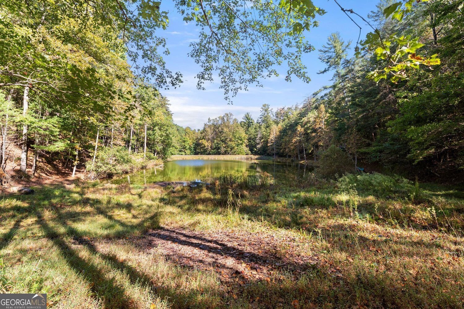 125 Owltown Drive Ellijay - Photo 41