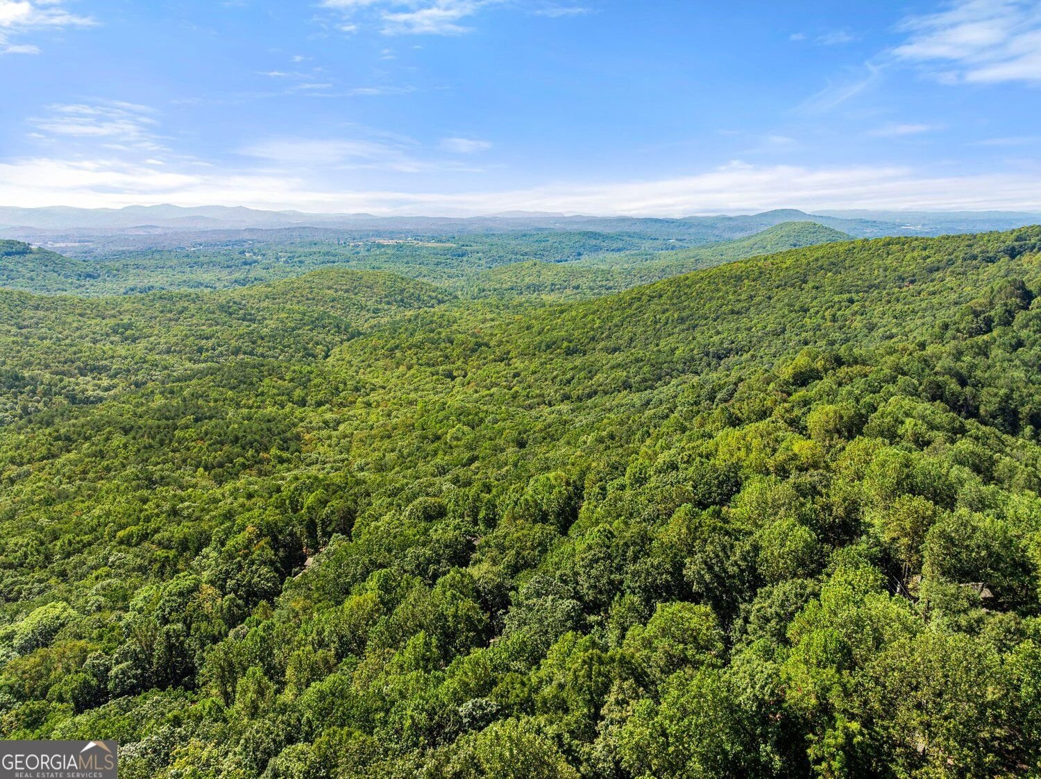 125 Owltown Drive Ellijay - Photo 46