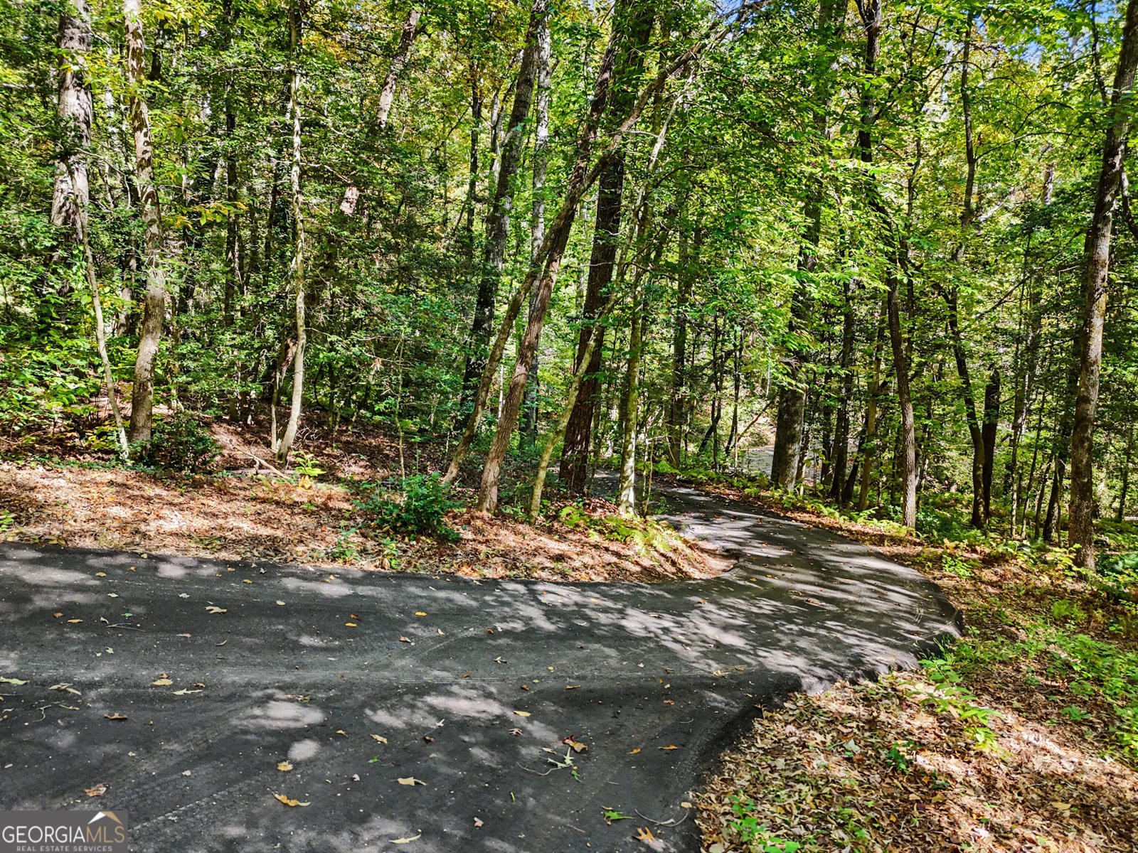 596 Moses Road Rabun Gap - Photo 45