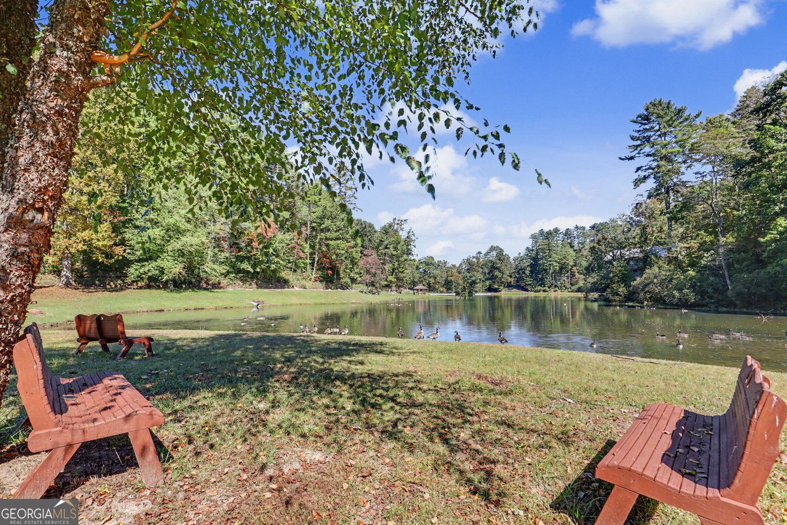 596 Moses Road Rabun Gap - Photo 52