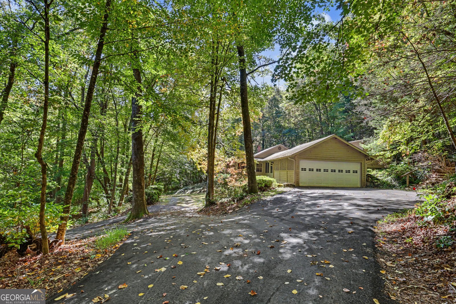 596 Moses Road Rabun Gap - Photo 6