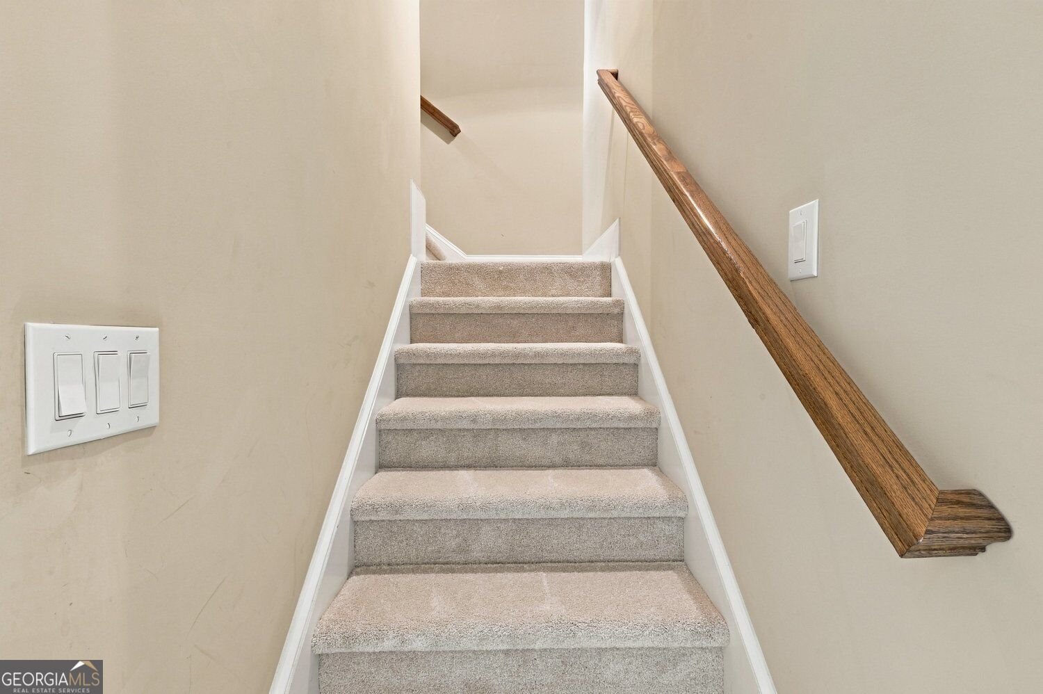 318 Lakeside Trace Canton - Photo 19