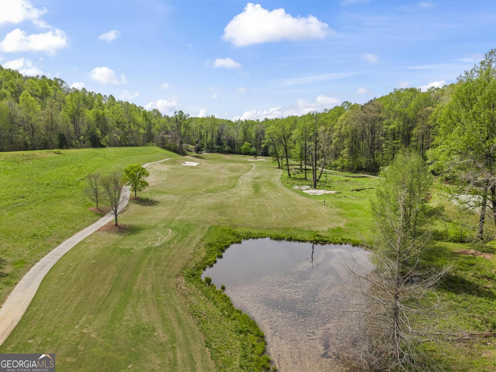 38 Stamp Mill Court Dahlonega - Photo 59