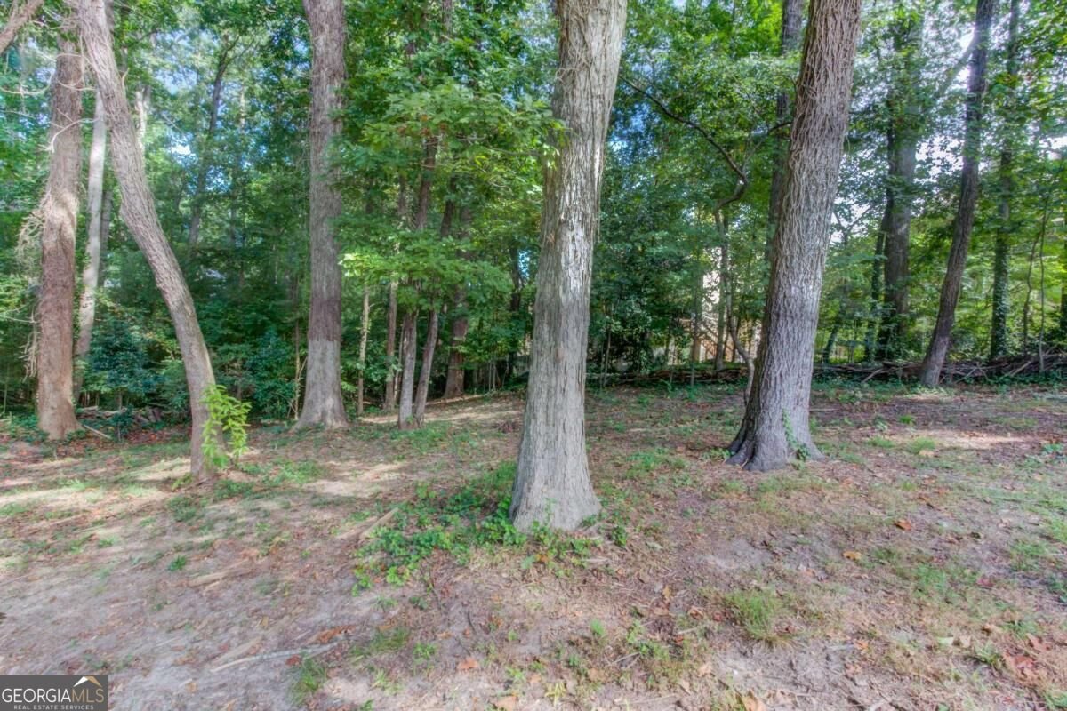 1702 Branch Creek Cove Lawrenceville - Photo 31