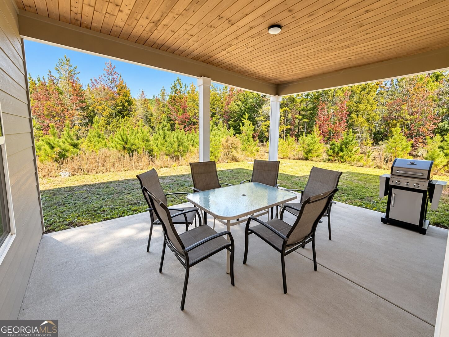 5322 GA Hwy 362 Williamson - Photo 70