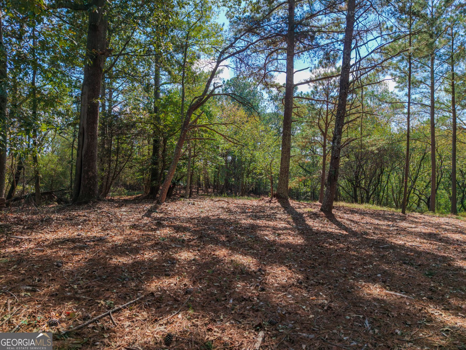 469 Flatbottom Road Ball Ground - Photo 10
