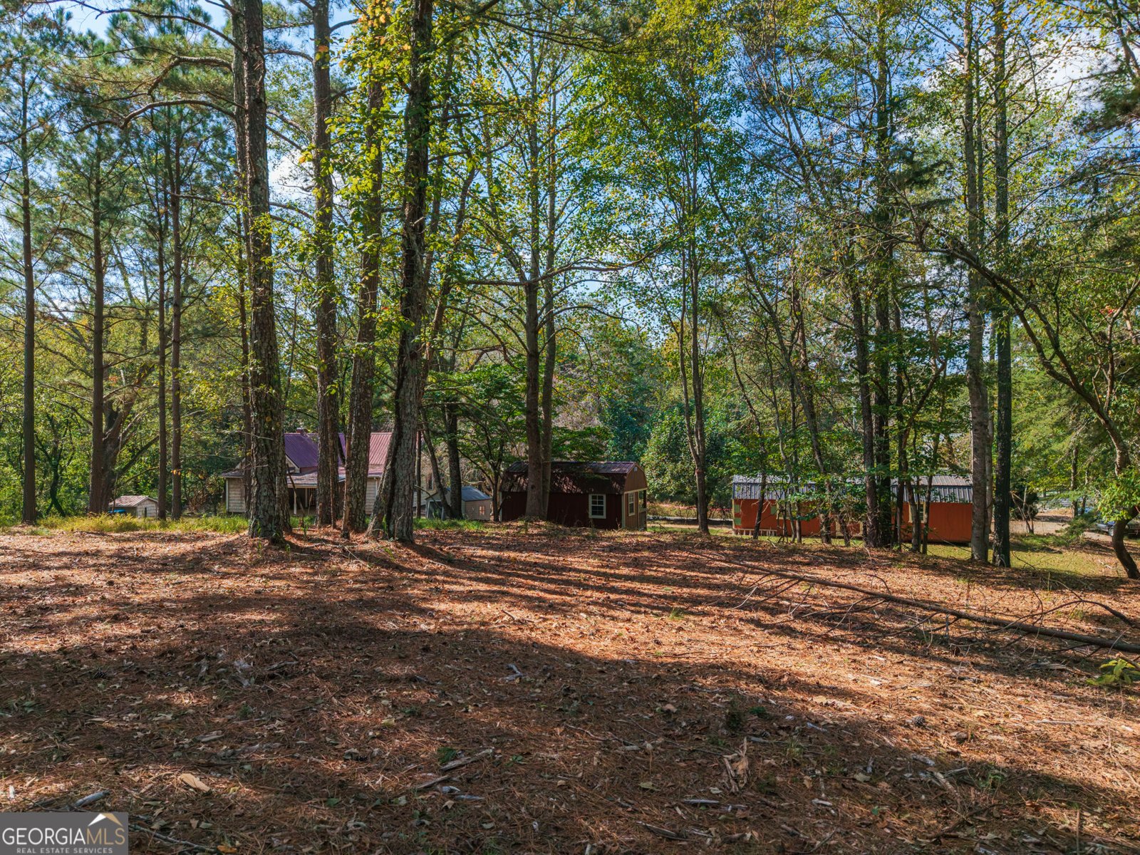 469 Flatbottom Road Ball Ground - Photo 11