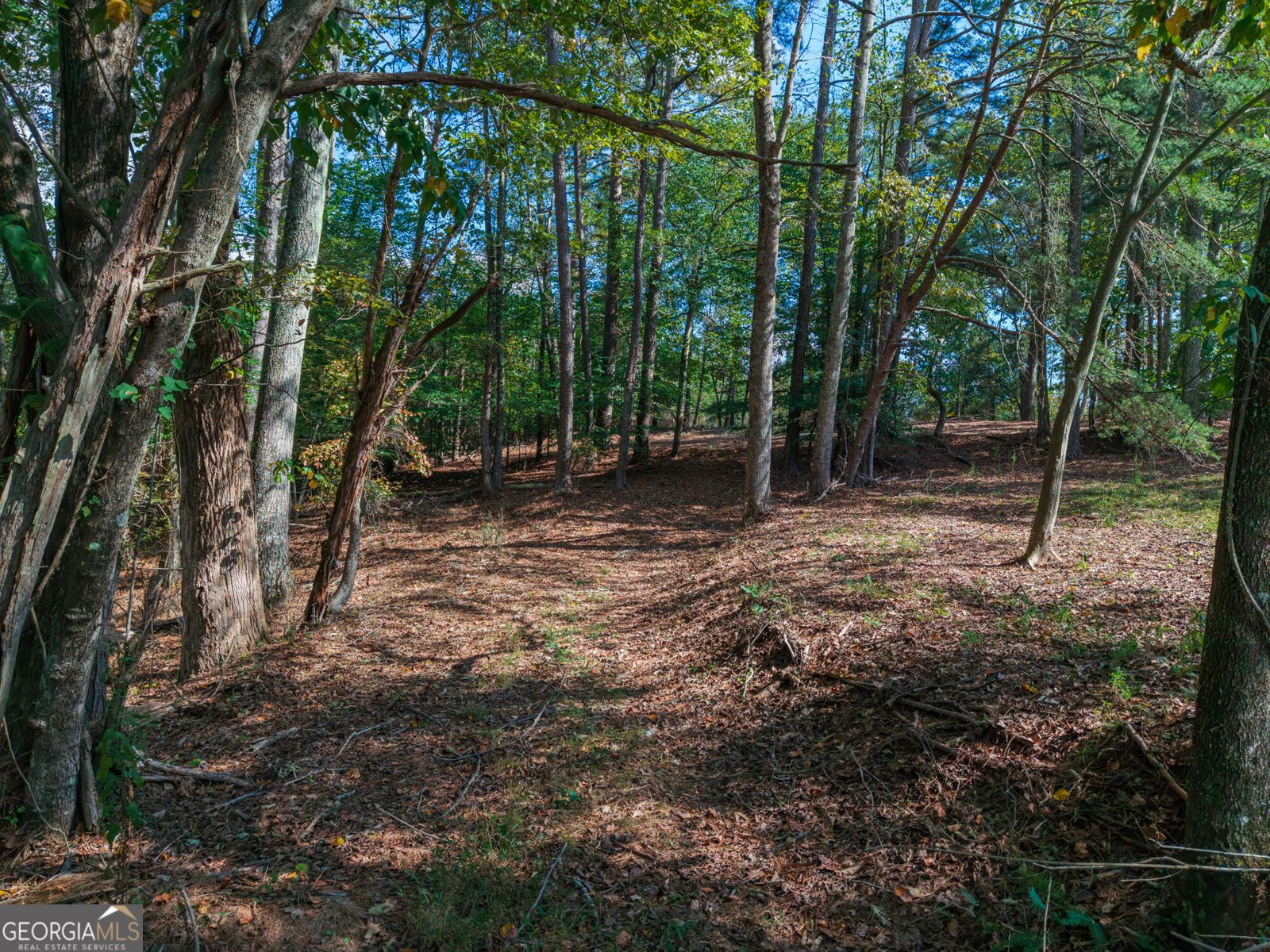 469 Flatbottom Road Ball Ground - Photo 12