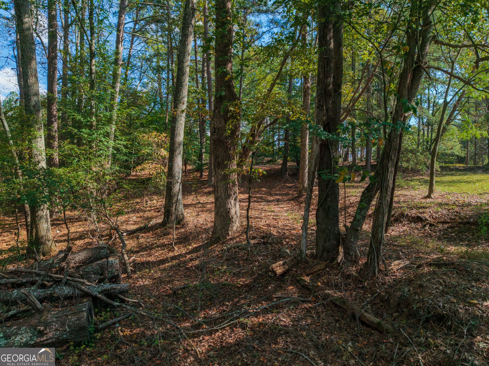 469 Flatbottom Road Ball Ground - Photo 13