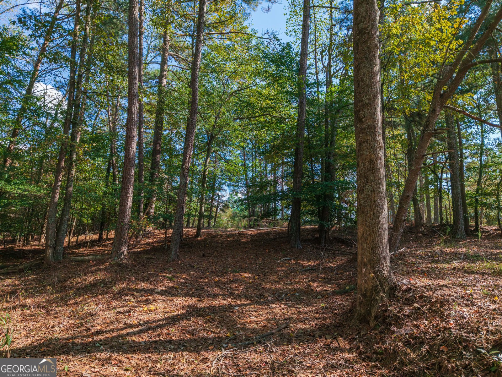 469 Flatbottom Road Ball Ground - Photo 14