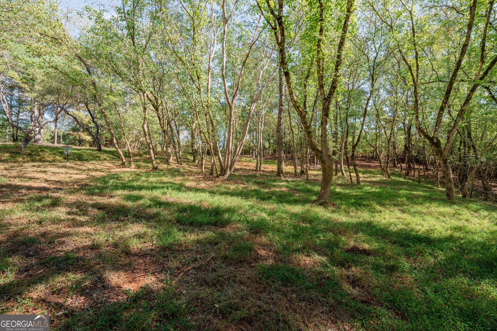 469 Flatbottom Road Ball Ground - Photo 15