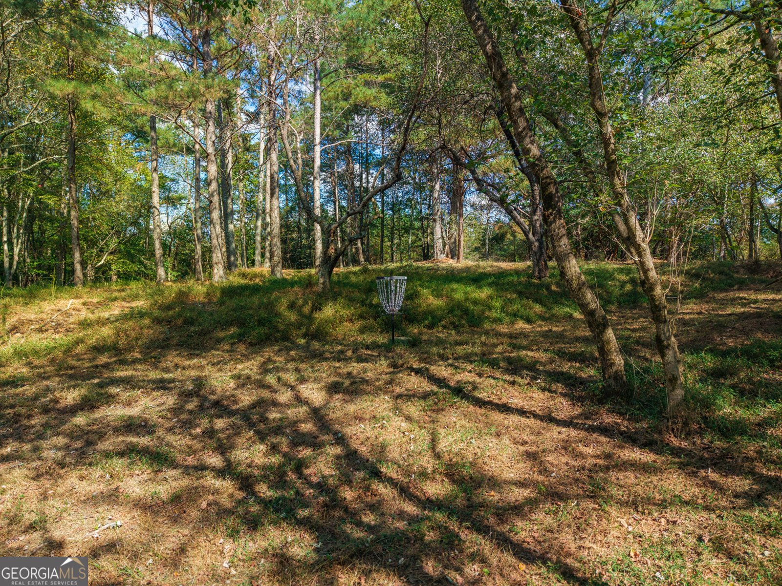 469 Flatbottom Road Ball Ground - Photo 6