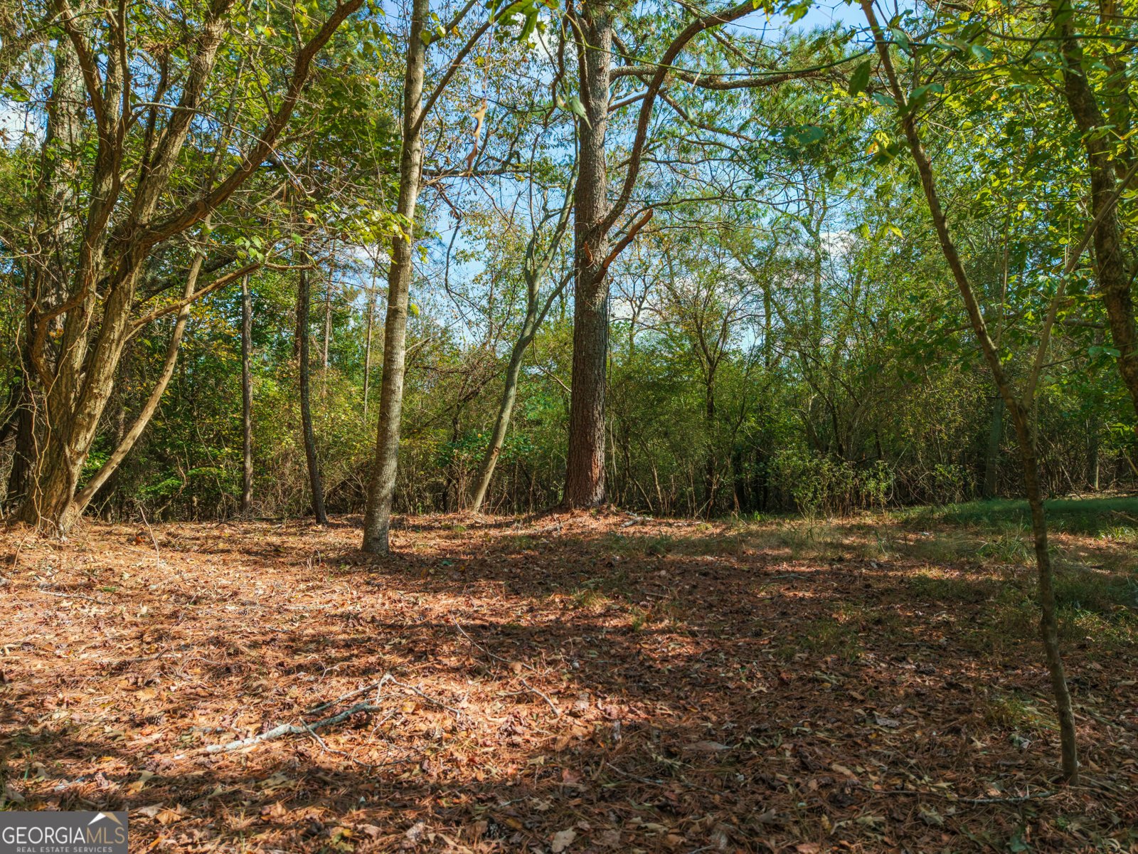 469 Flatbottom Road Ball Ground - Photo 9