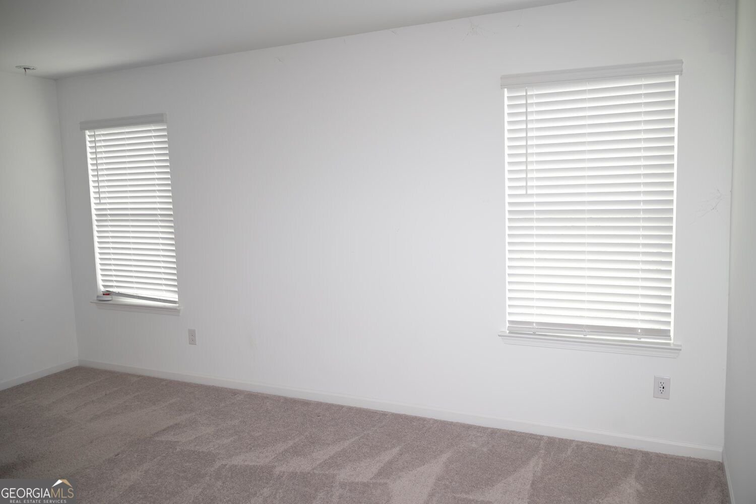 229 Bald Avenue McDonough - Photo 15