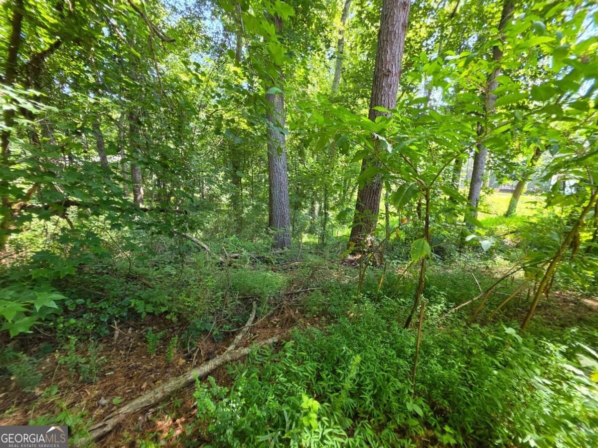 5170 Hurt Bridge Road Cumming - Photo 23