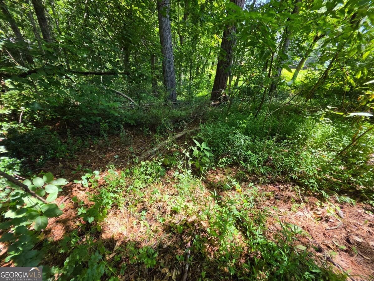 5170 Hurt Bridge Road Cumming - Photo 24