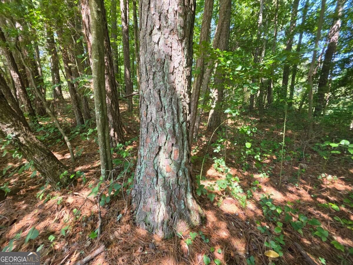 5170 Hurt Bridge Road Cumming - Photo 25