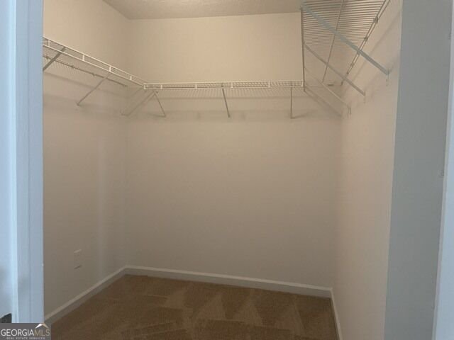 10724 Starling Trail Hampton - Photo 11