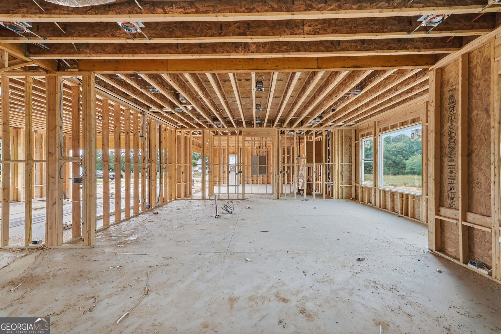 1736 Lee Peters Road Loganville - Photo 10