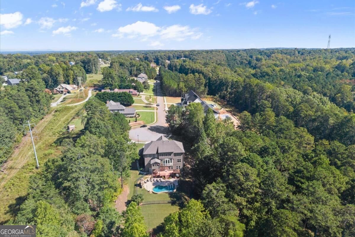 6581 Misty Harbor Court Flowery Branch - Photo 81