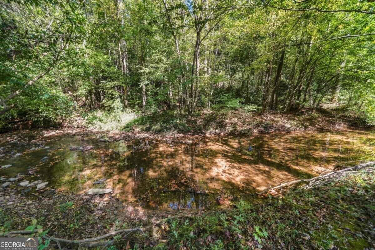120 Hobson Drive Jasper - Photo 54