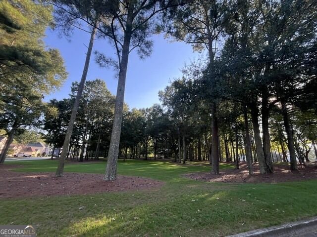 55 Oak Park Square Newnan - Photo 34