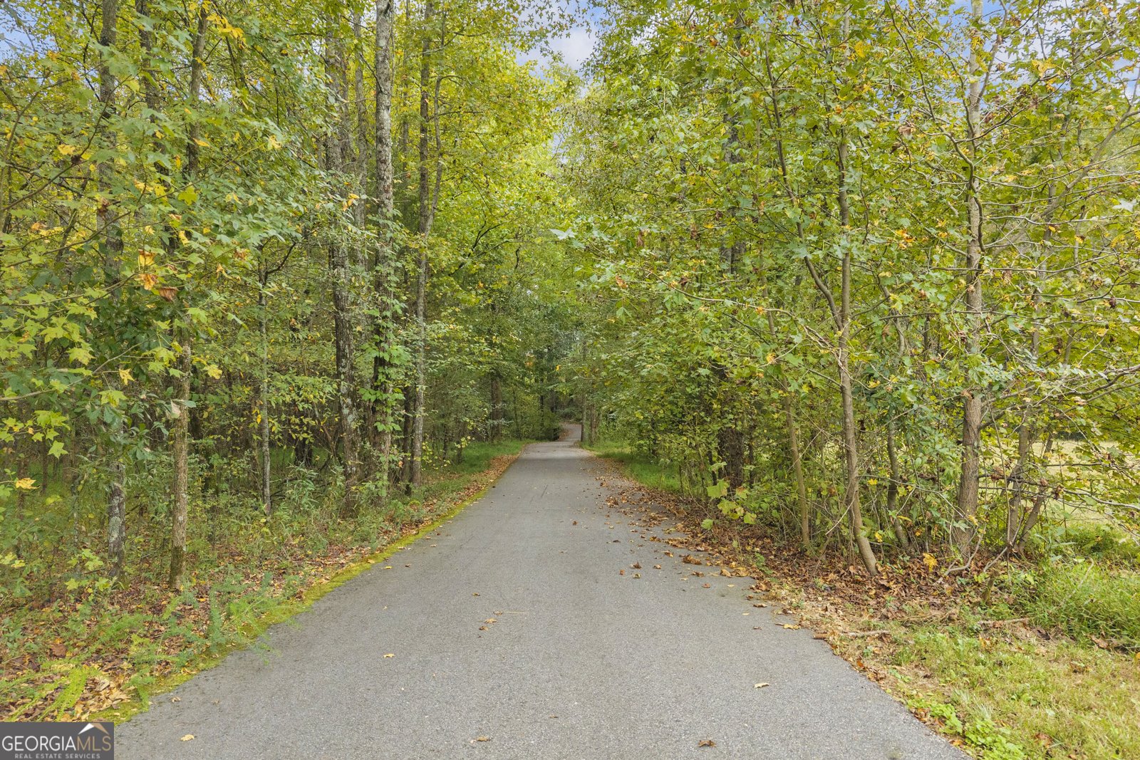 128 Adventure Trail Jefferson - Photo 15