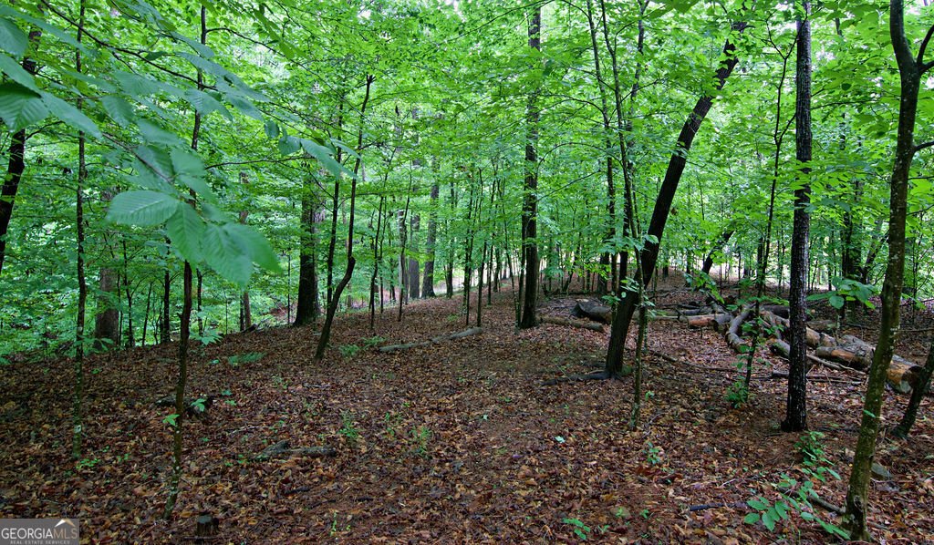 1279 Coneross Point Drive Seneca - Photo 41