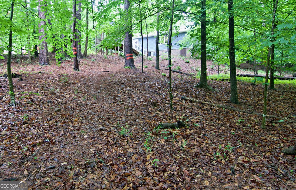1279 Coneross Point Drive Seneca - Photo 42