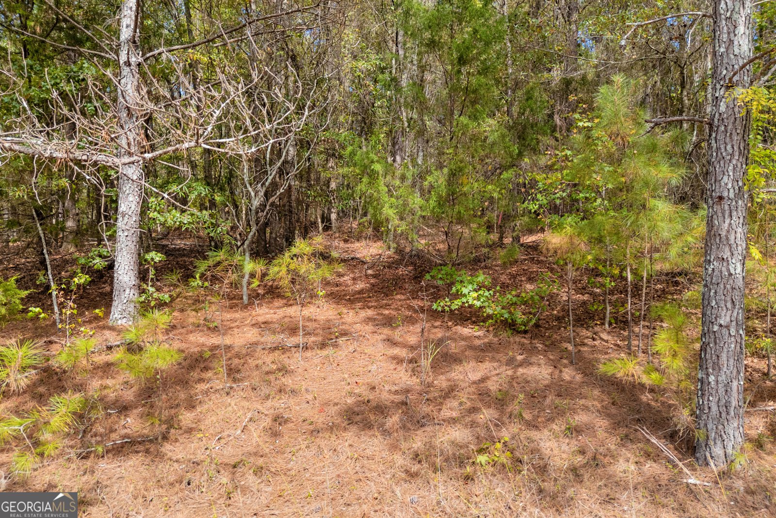 0 Kincaid Cemetery Road Colbert - Photo 37